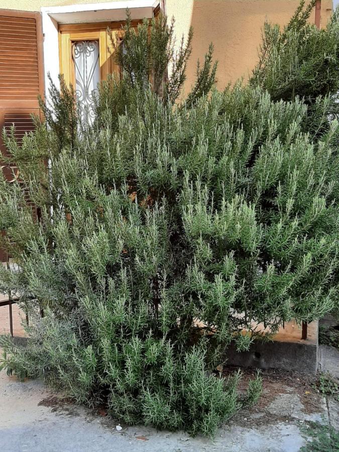 Il Rosmarino Villa Fresonara  Eksteriør billede